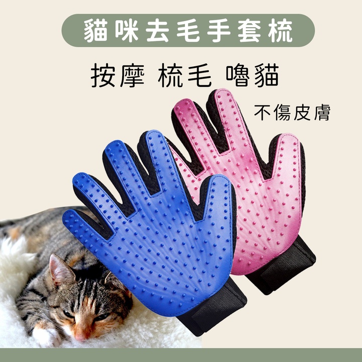 官網.png