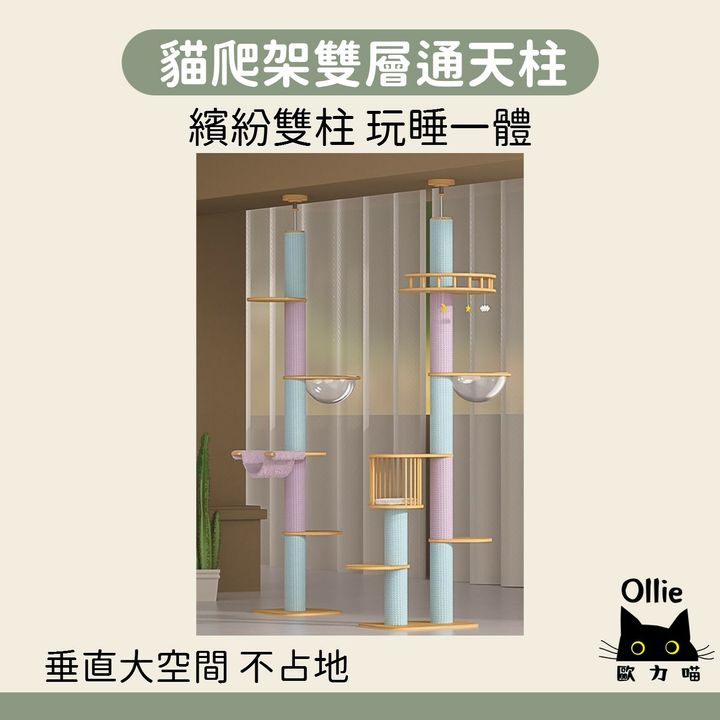 圖片1