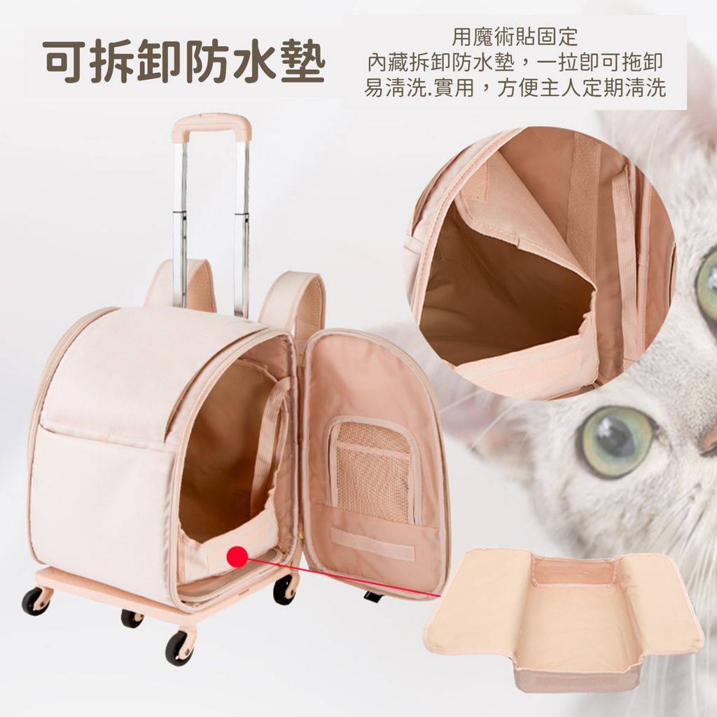 LINE_ALBUM_20221012 寵物三合一行李箱背包 (改繁體中文)_221012_5