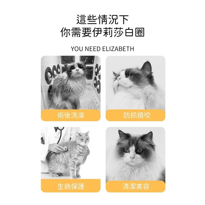 sg-11134201-22100-9qwz3tykguive2