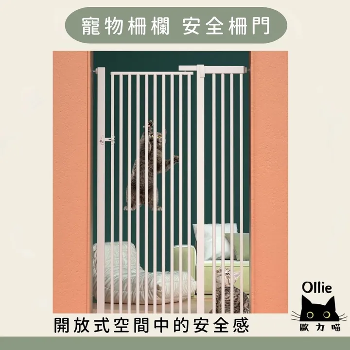 Y寵物電子.電燈相框