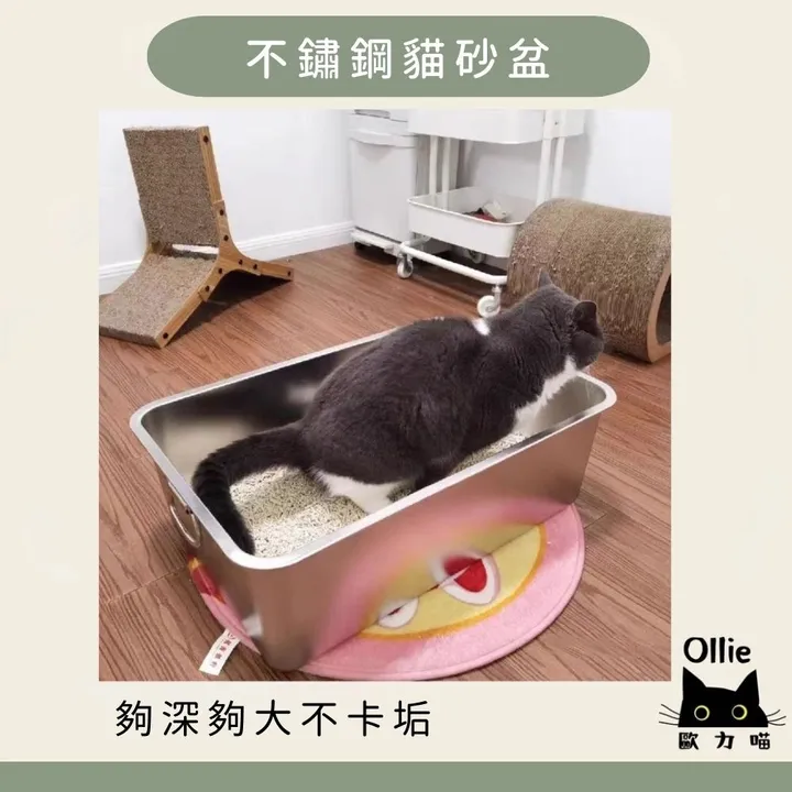 Y寵物電子.電燈相框