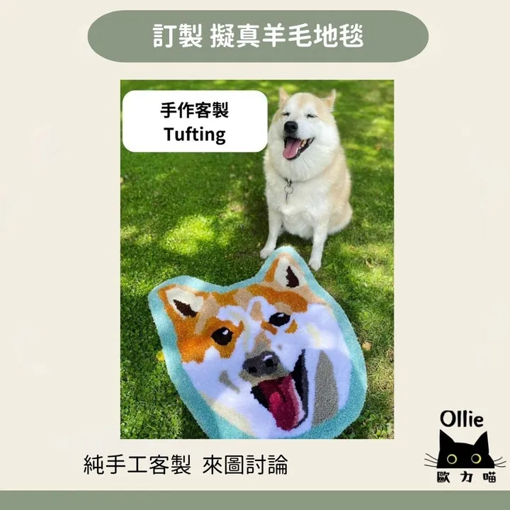 Y寵物電子.電燈相框