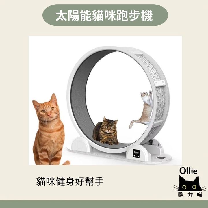 Y寵物電子.電燈相框 (2)