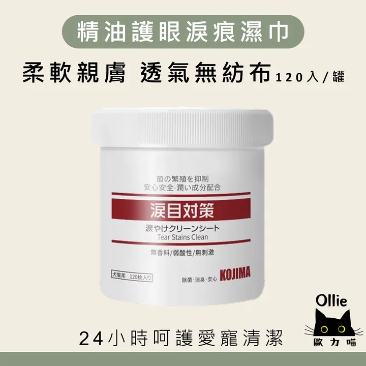 圖片21