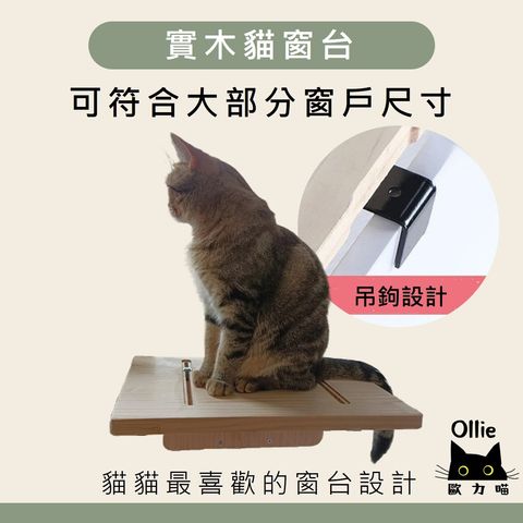圖片4