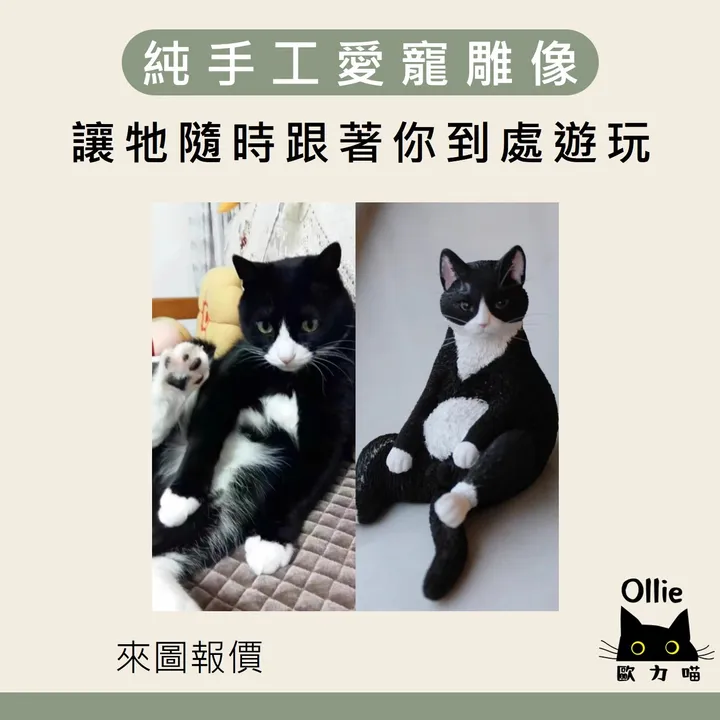 圖片4