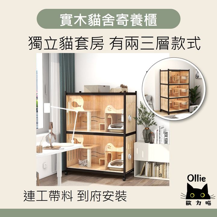 貓舍寄養櫃