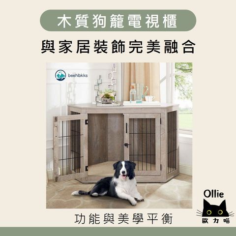 圖片2
