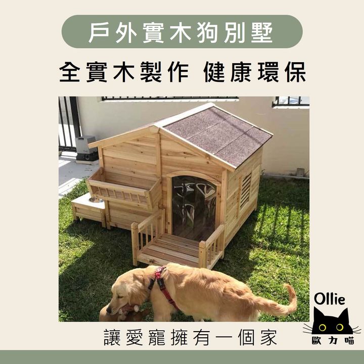 圖片1