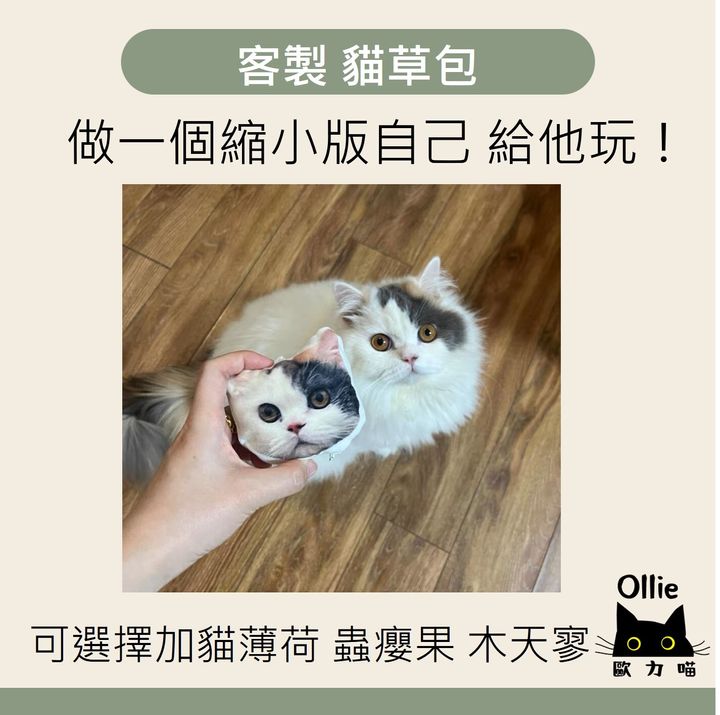 客製貓草玩具