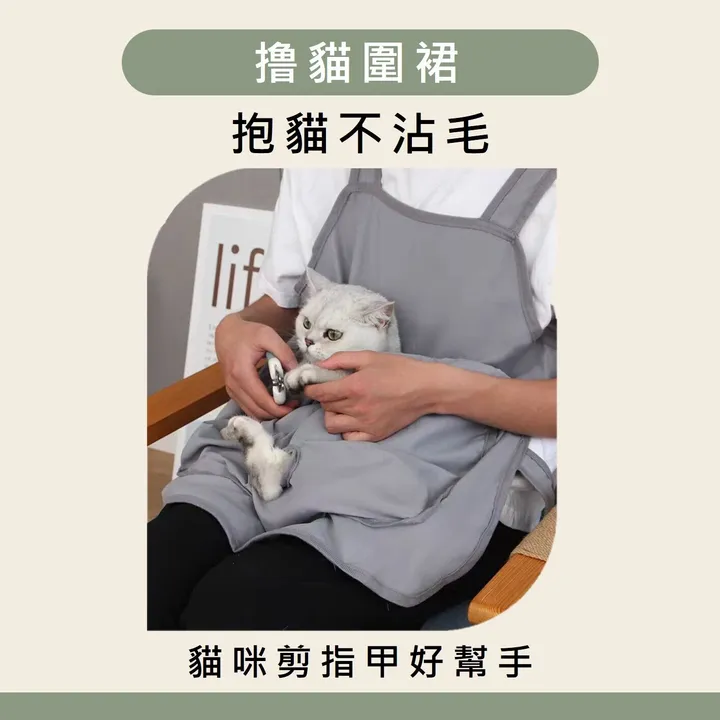 撸貓圍裙 首圖