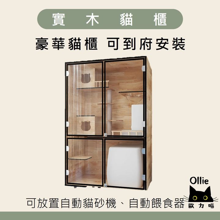 實木貓櫃 可放自動貓砂機 首圖