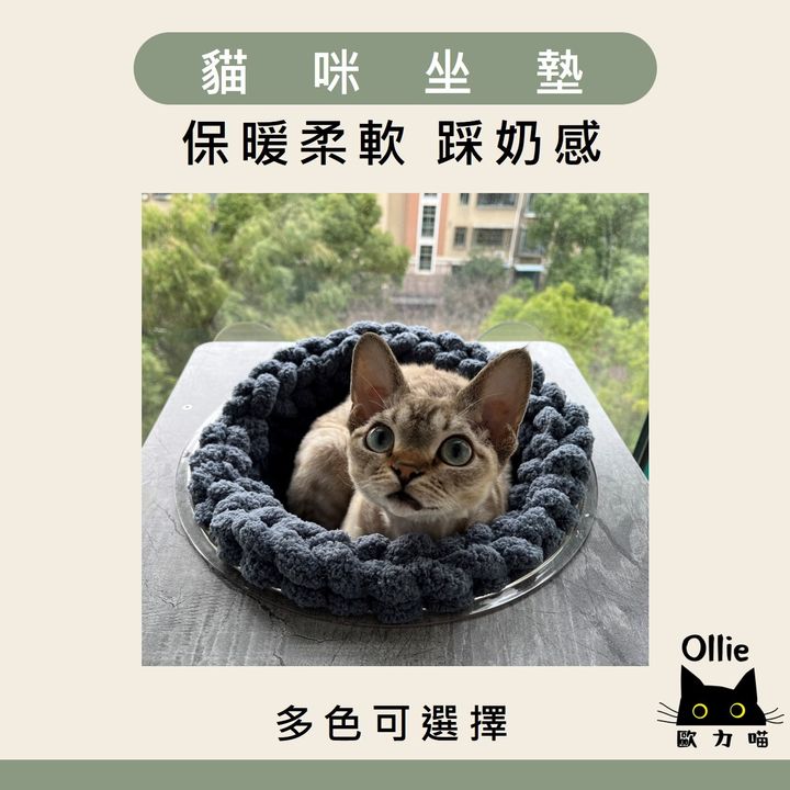 貓咪坐墊 首圖