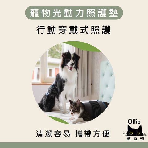 寵物光動力照護墊 首圖