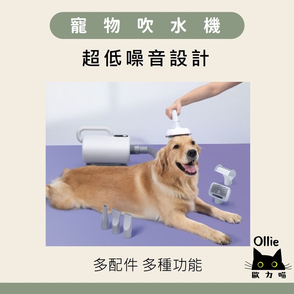 寵物吹水機 首圖