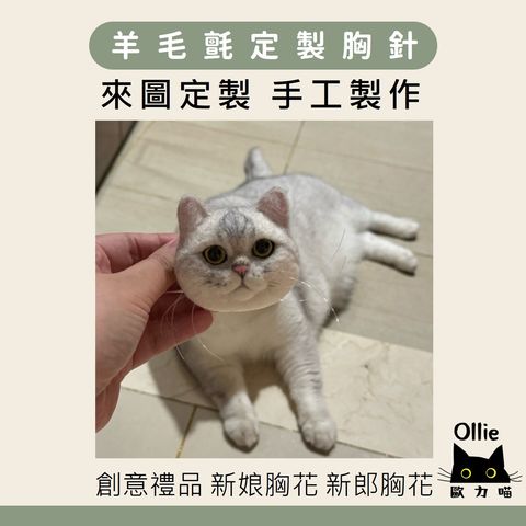 羊毛氈定製胸針 首圖 diy