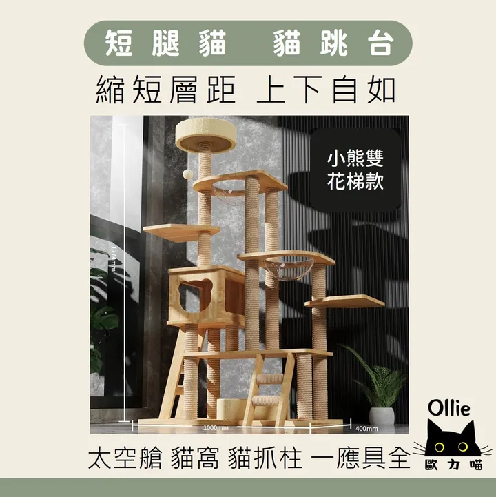 短腿貓跳台 多貓家庭 布偶貓  首圖