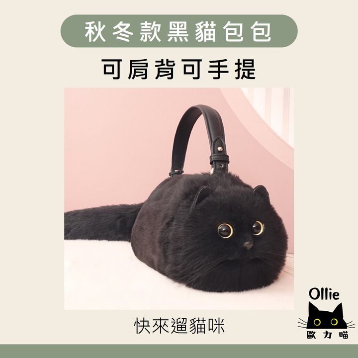 秋冬款黑貓包包 首圖