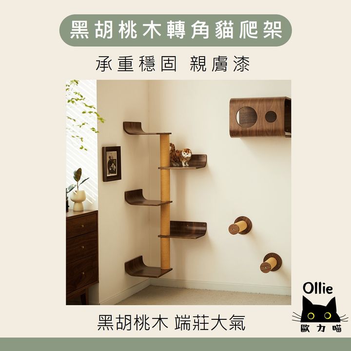 黑桃木轉角貓爬架 首圖