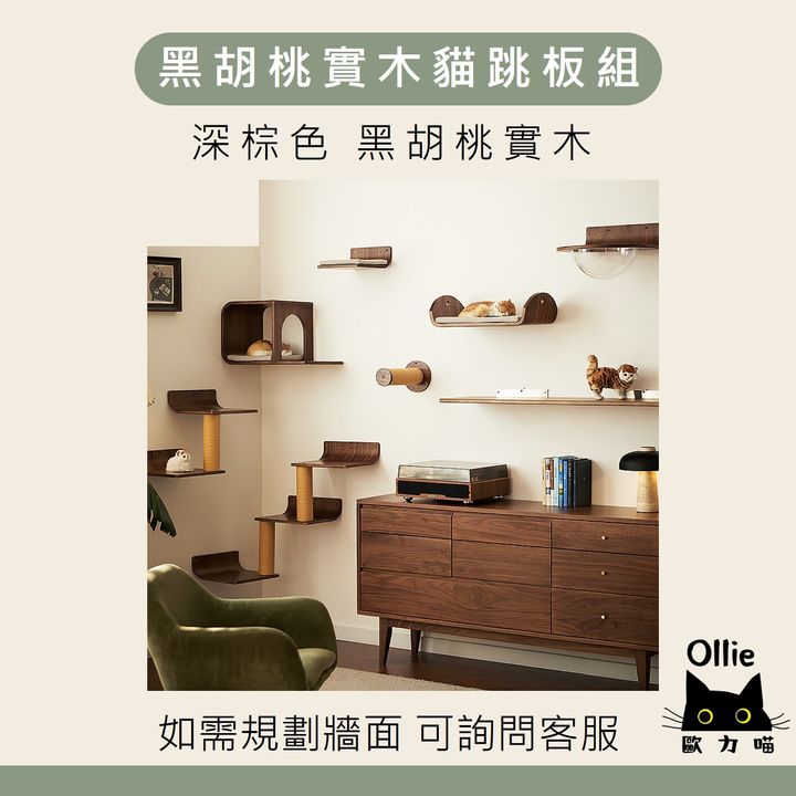 黑胡桃實木貓跳台組 首圖