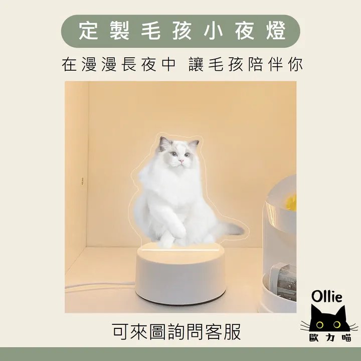 定製毛孩小夜燈 首圖