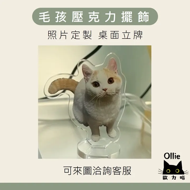 毛孩壓克力擺飾 首圖