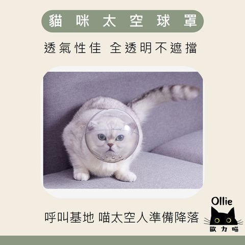 貓咪太空球罩 首圖