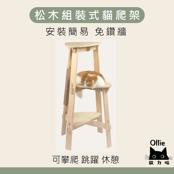 松木組裝式貓爬架 首圖