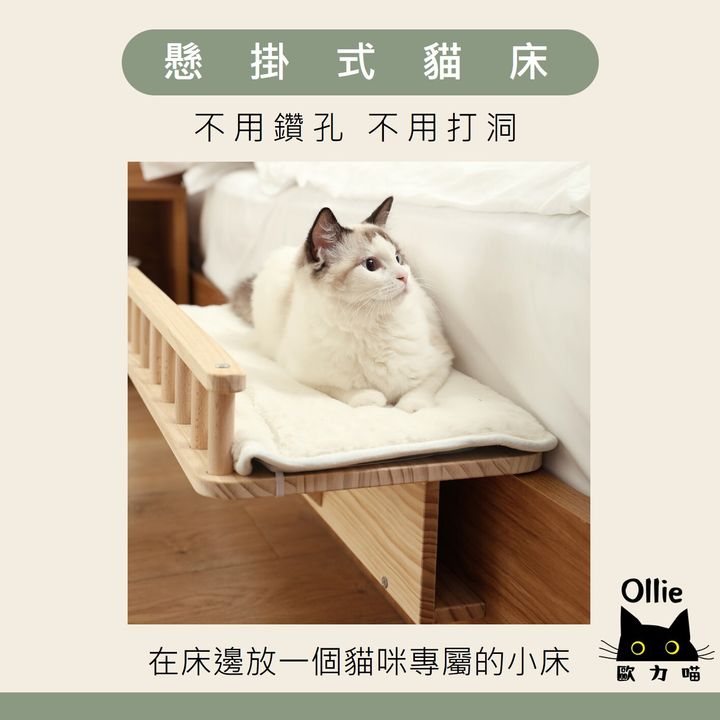 懸掛式貓床