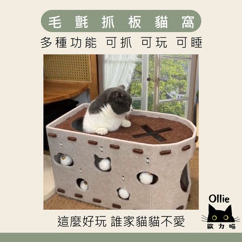 毛氈抓板貓窩 首圖