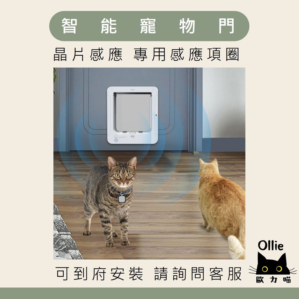 感應式寵物門 首圖