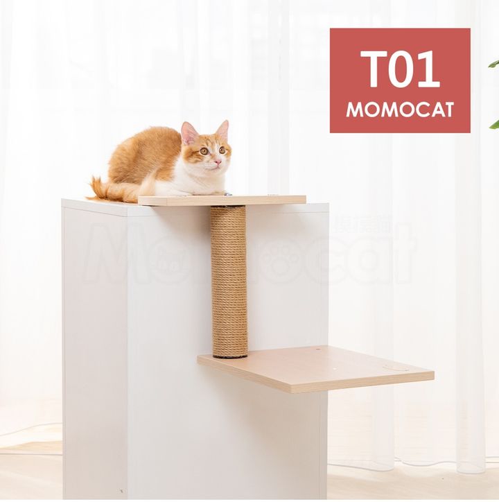 momocat天梯01 圖1