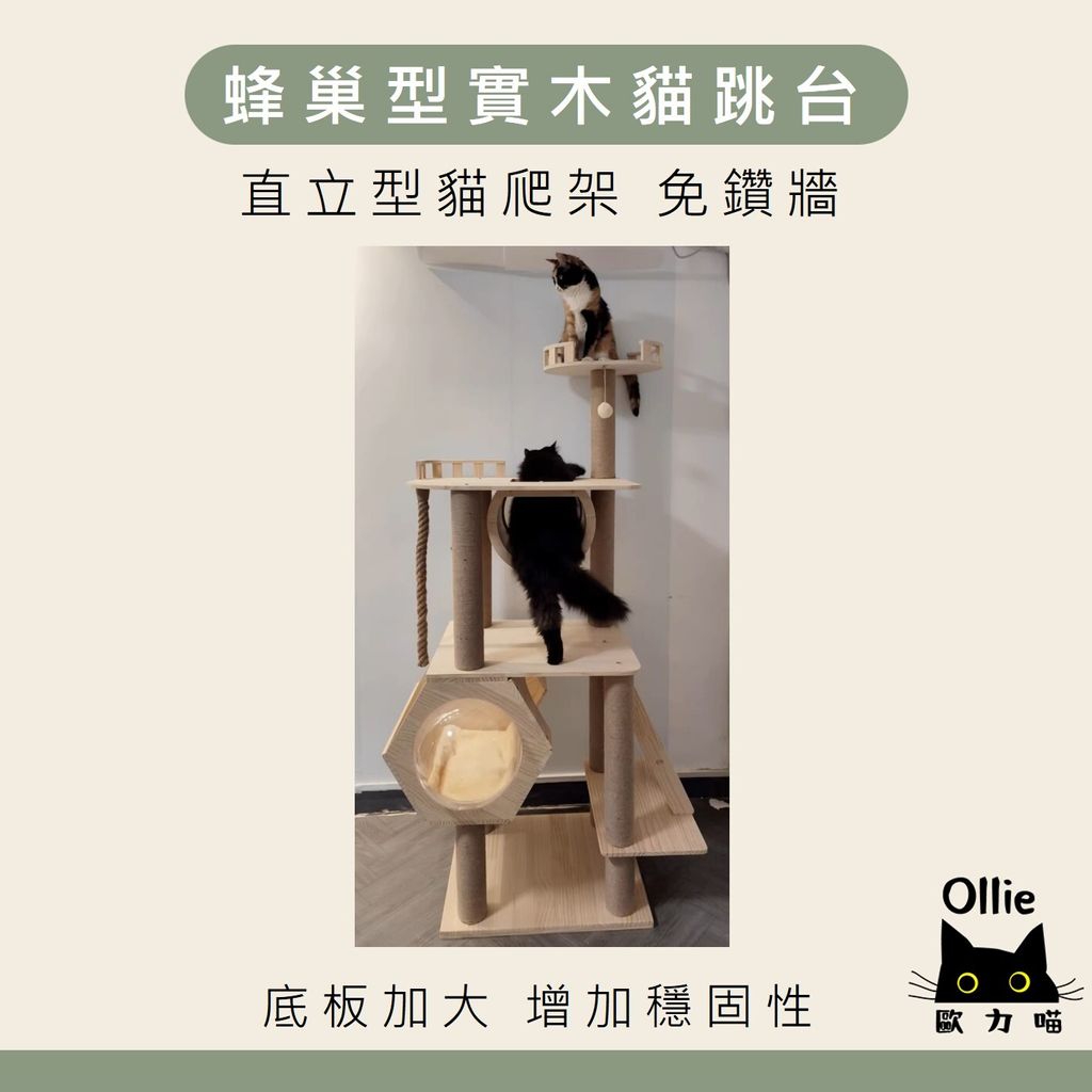 蜂巢形實木貓跳台 首圖