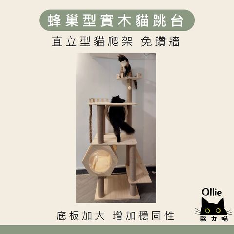 蜂巢形實木貓跳台 首圖
