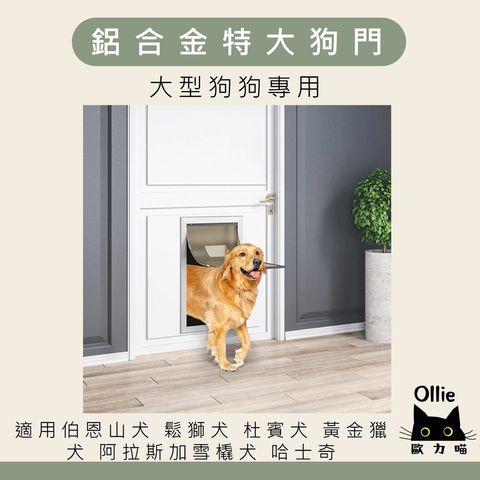 鋁合金特大狗門 首圖