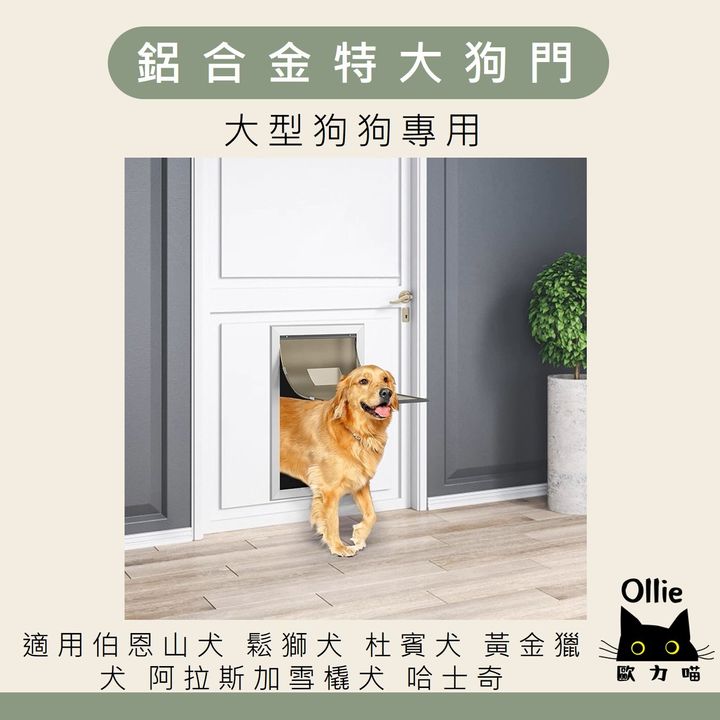 鋁合金特大狗門 首圖