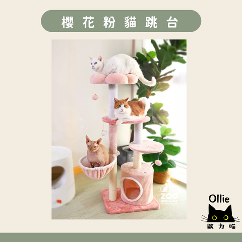 圖片2