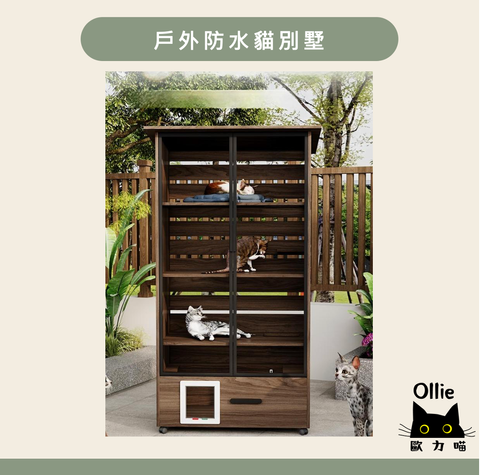 截圖 2025-12-02 下午3.18.32