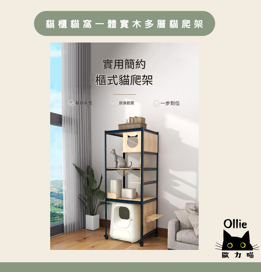 截圖 2026-02-24 下午2.31.10