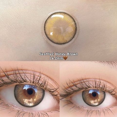 image_F1356999-D55A-4775-A179-A92958B25F33_1763885146