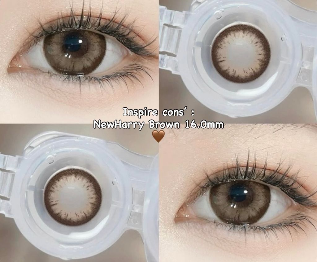 image_9BA0B575-3C4E-4ACB-BE64-7DD695AFA29B_1764237167