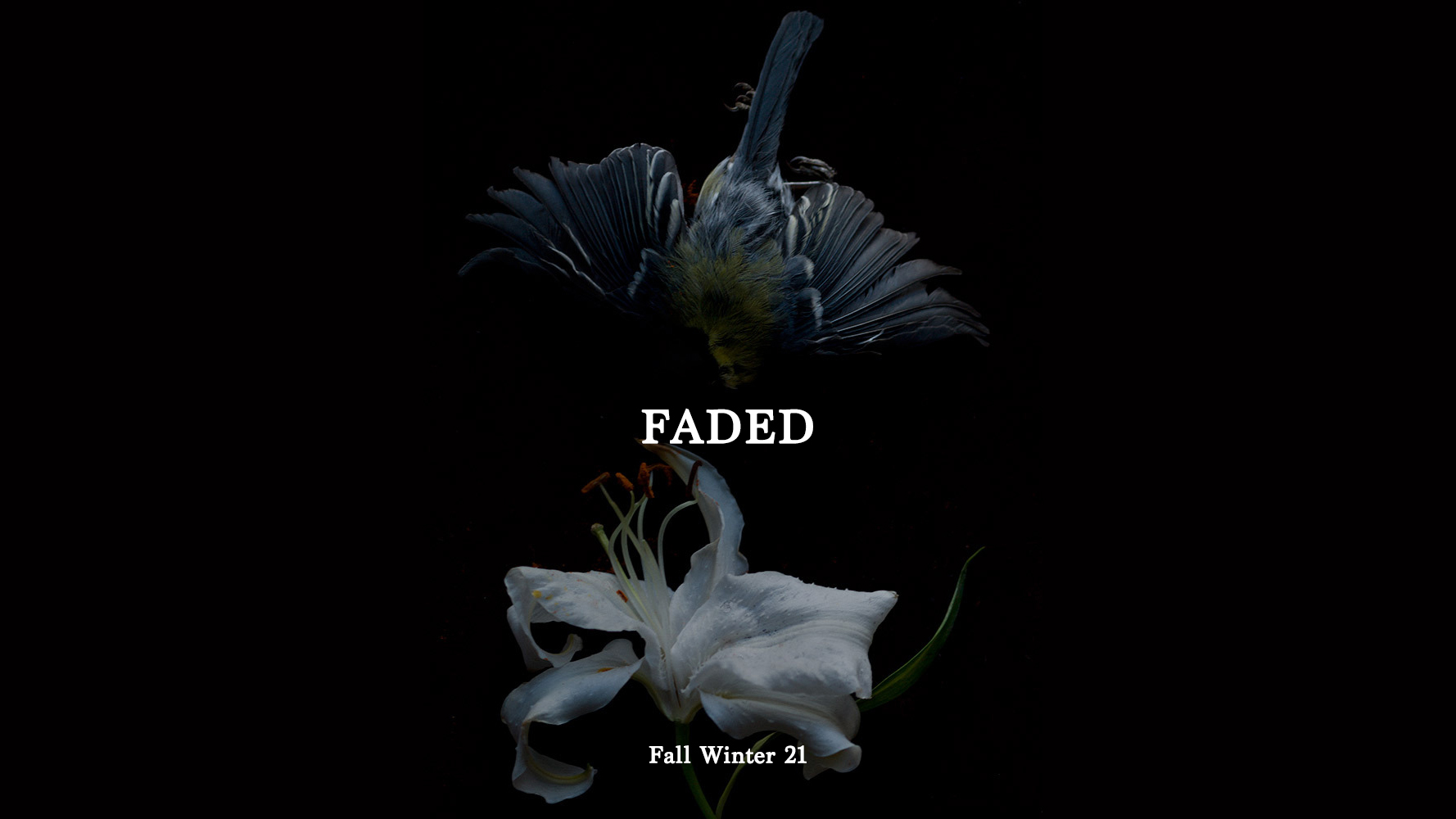 Fall Winter 2021 - FADED -