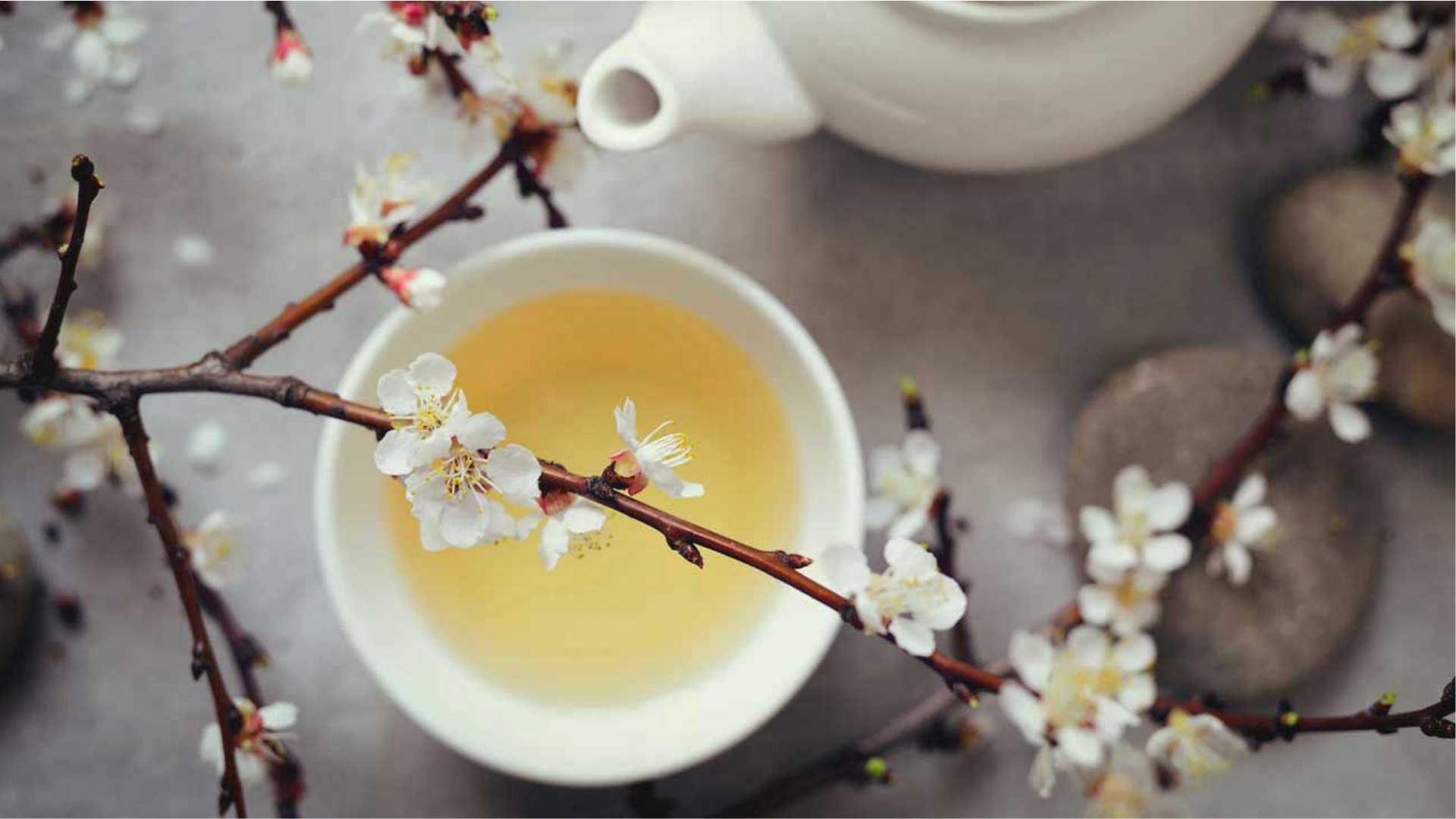 Dodolike | WHITE TEA