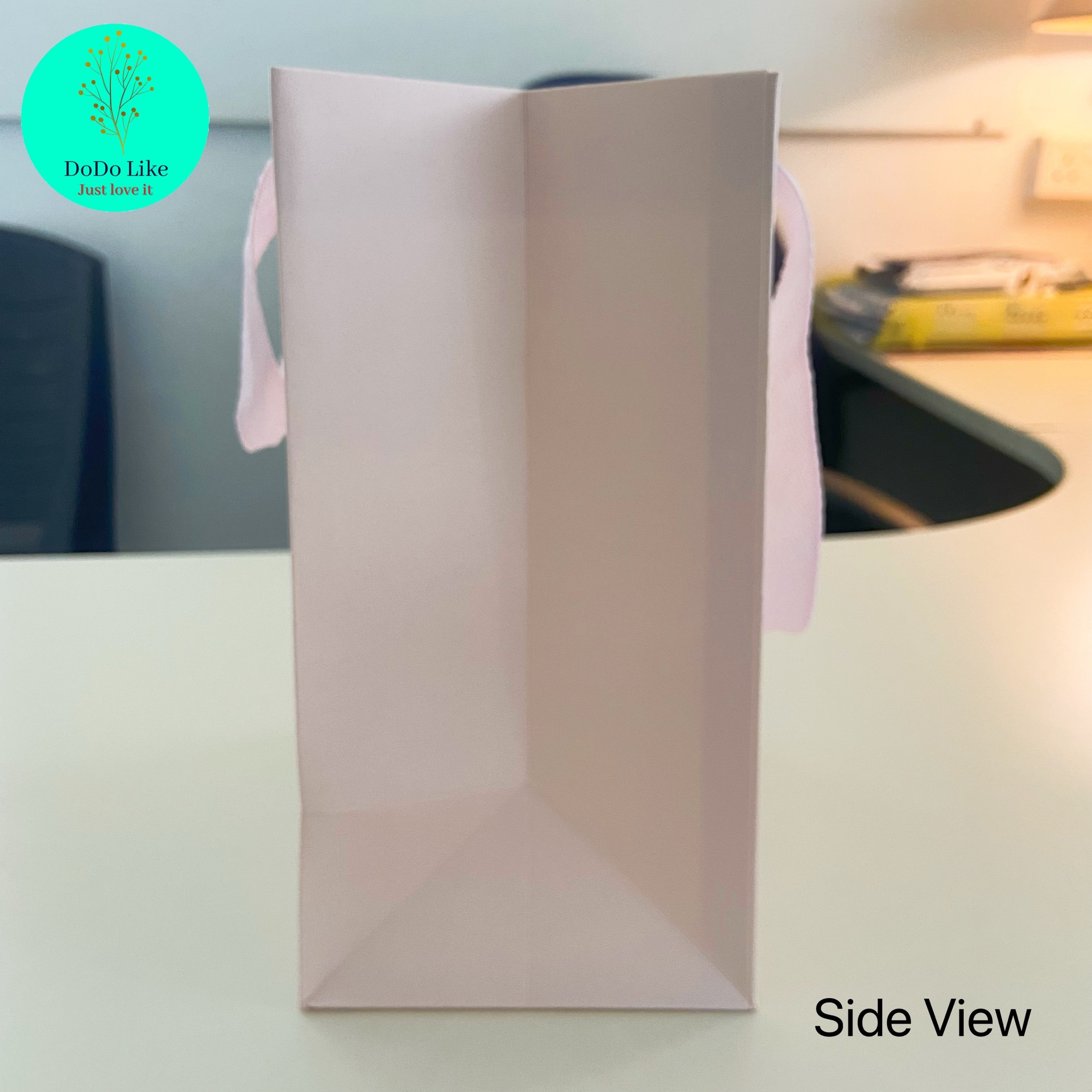 DoDoLike Packing with window Side View.JPG