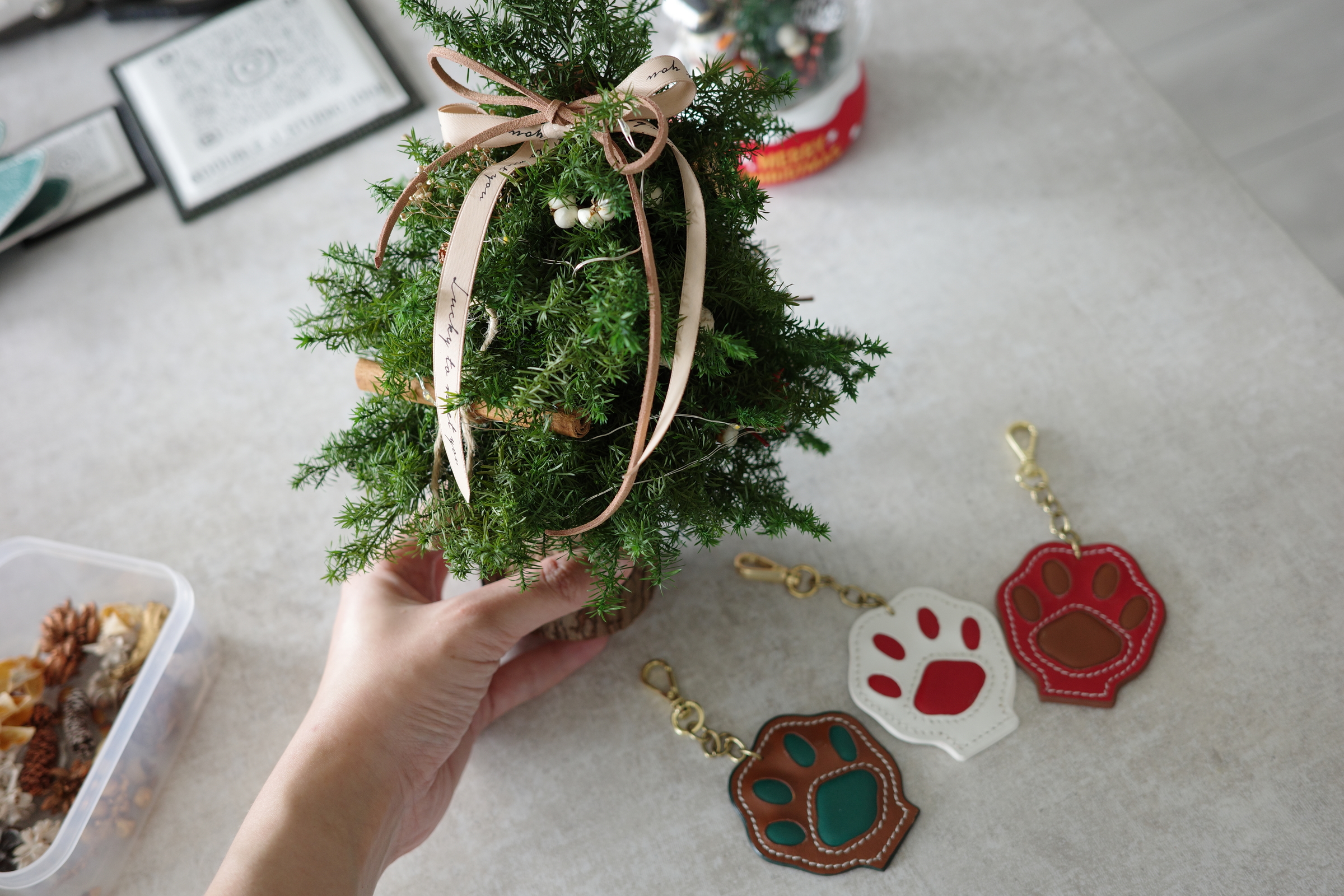 image_29C1C695-9331-43B0-AB36-8664E1315E06_1763036564