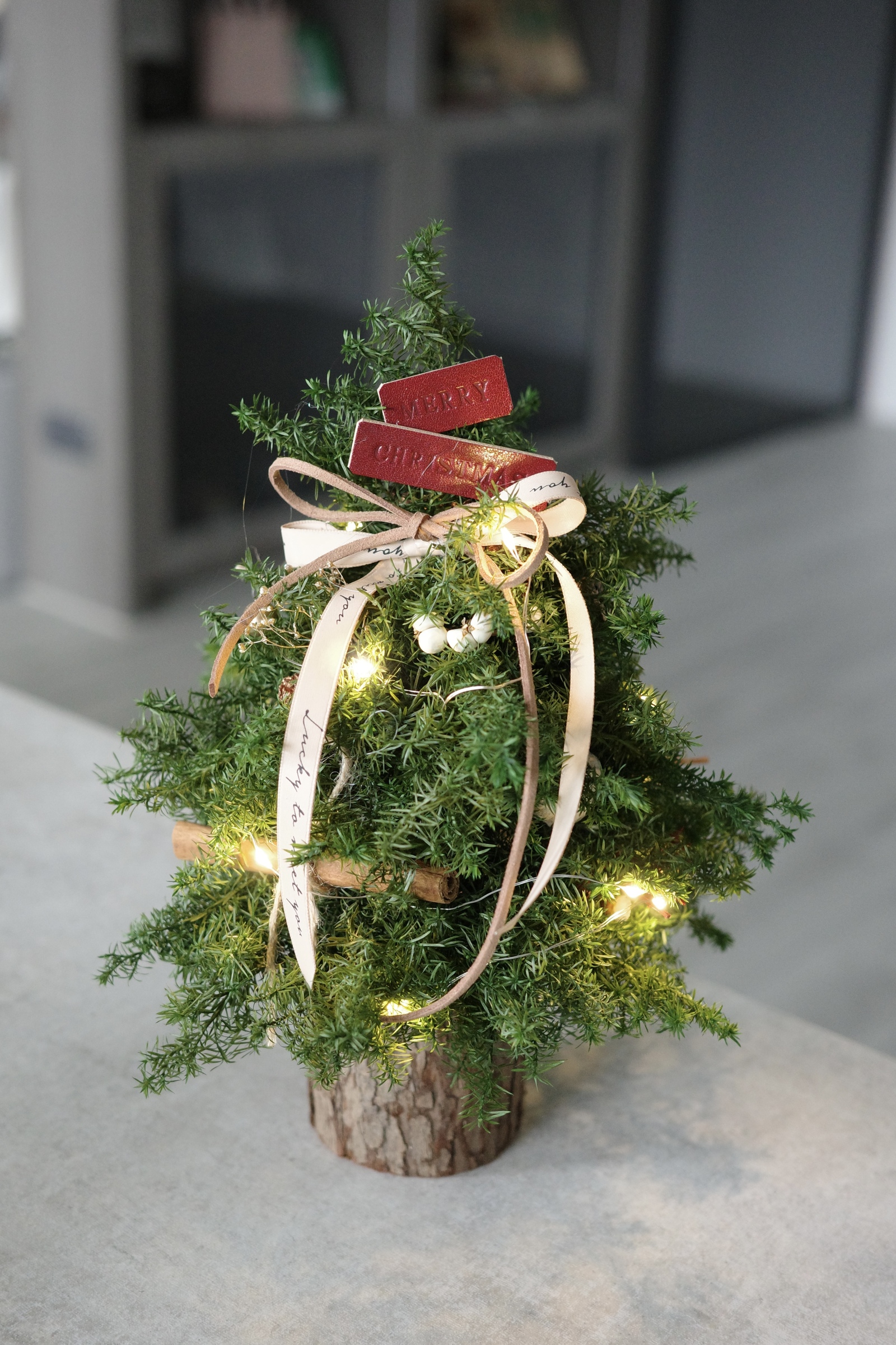 image_0A1EEA65-B09B-4E41-85DB-3F8FD2F12DC1_1763036564