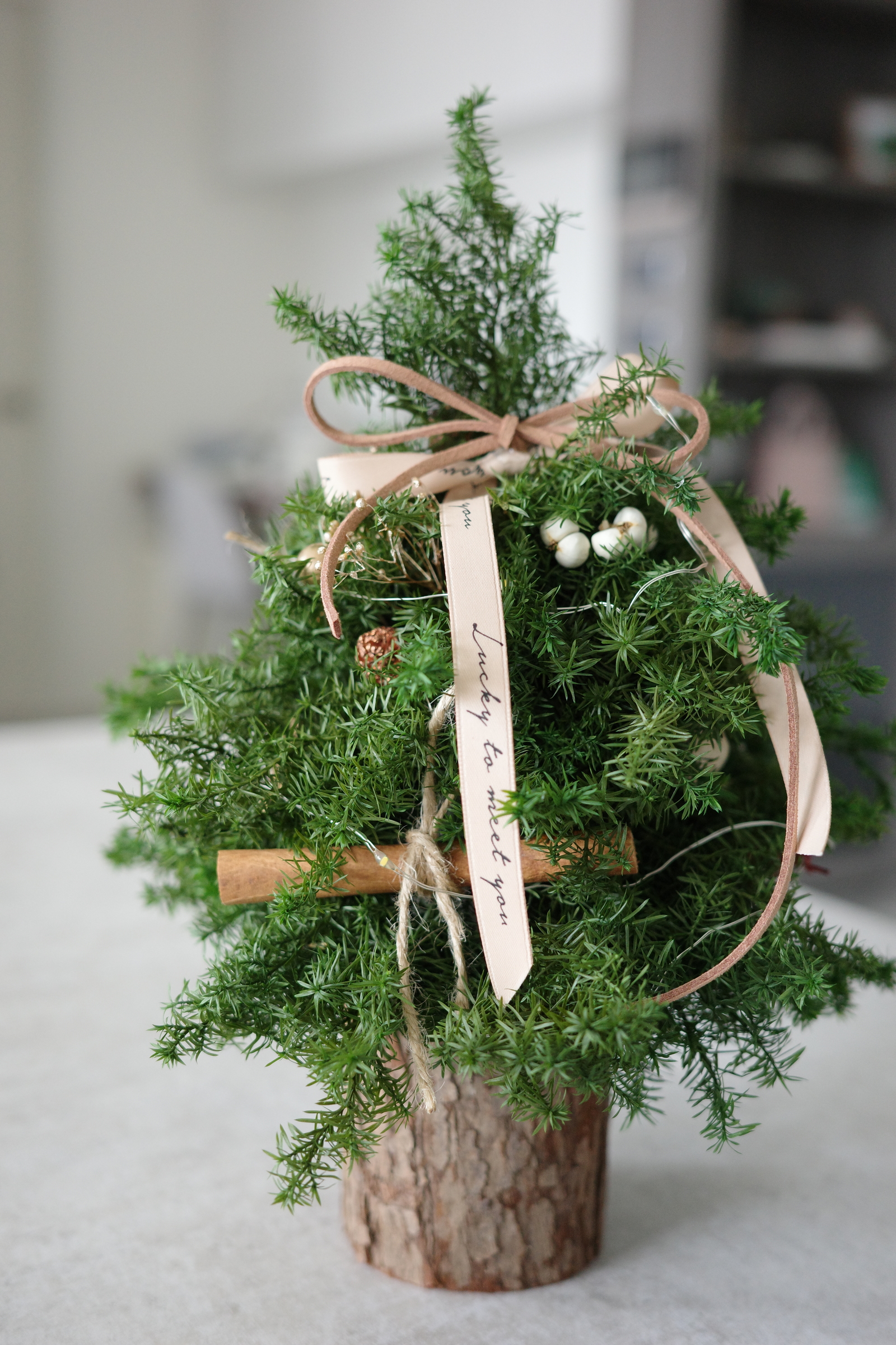 image_20C53DDC-FFB1-43C8-B5EB-E15EA046D8B6_1763036564