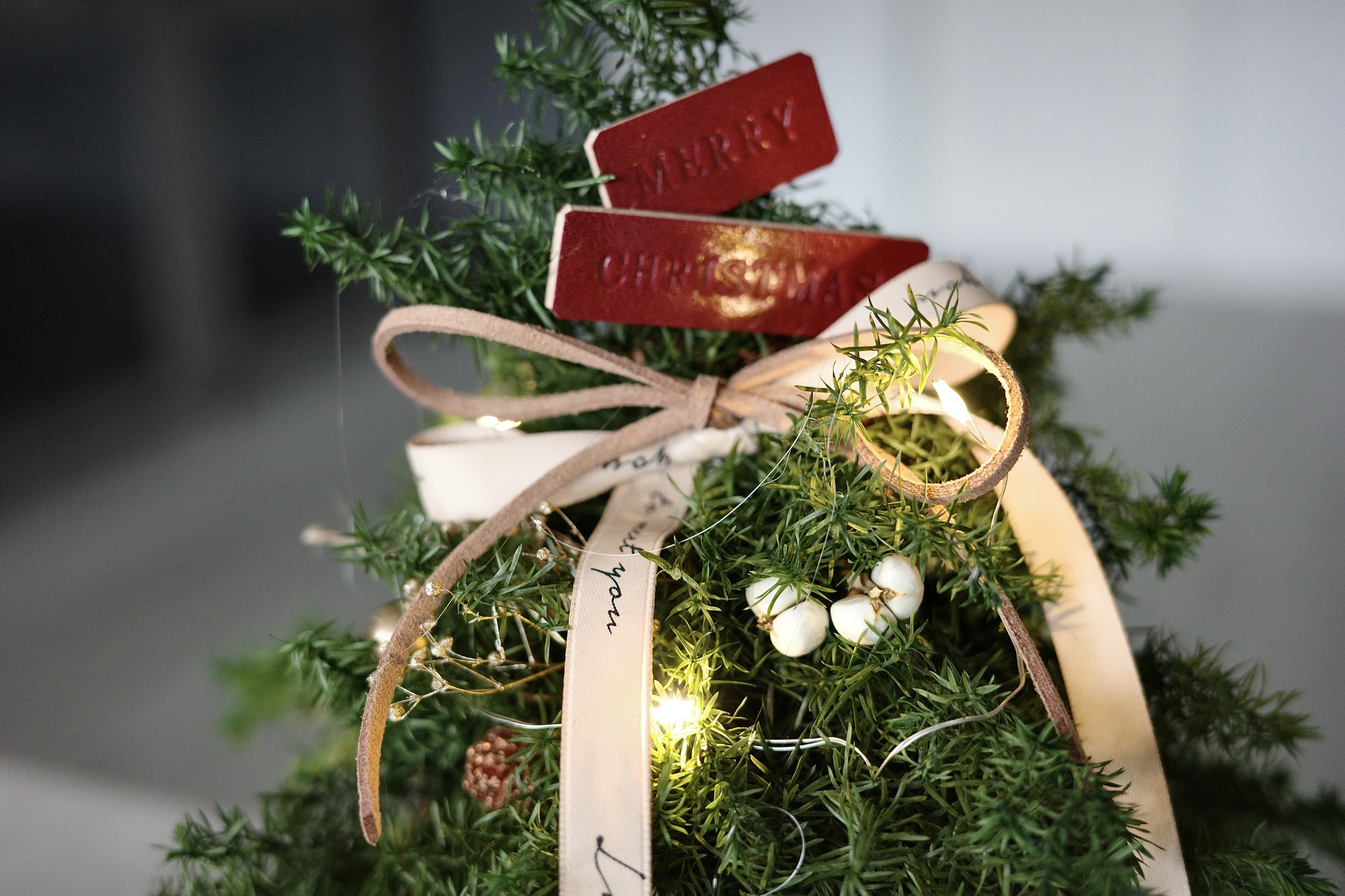 image_9DCD8AFC-BF83-4013-8FEB-650404BC330B_1763036564