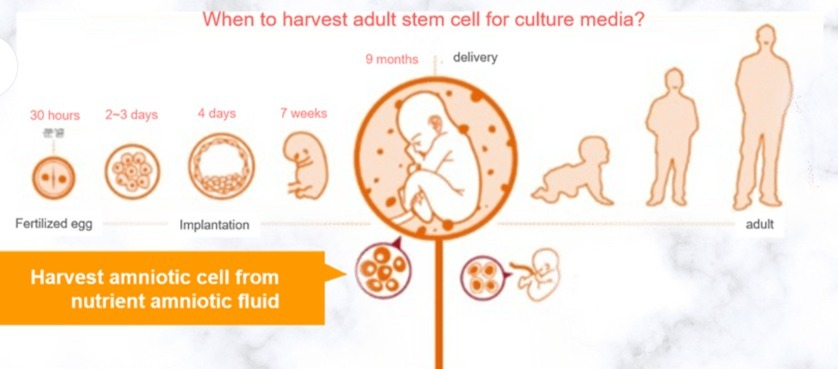 Diagram

Description automatically generated